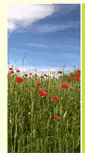 Mobile Screenshot of kinesiologie-seetal.ch
